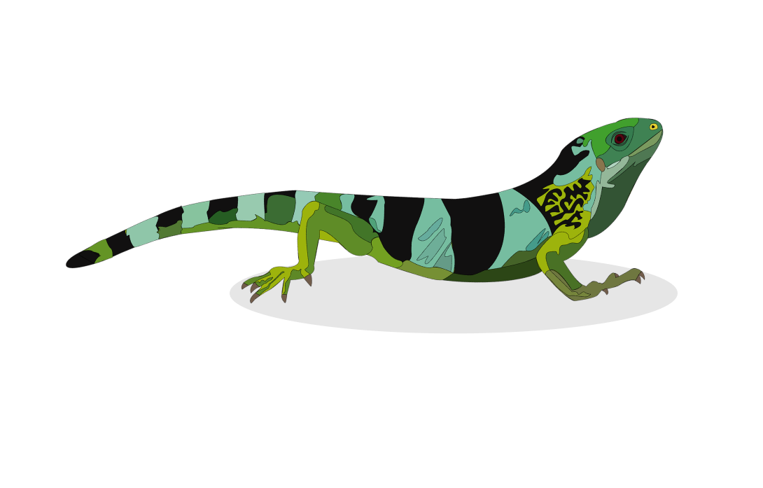 Forest Moss - The Tye-Dyed Iguana - Reptiles and Reptile Supplies