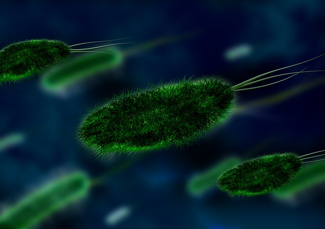 Digital bacteria